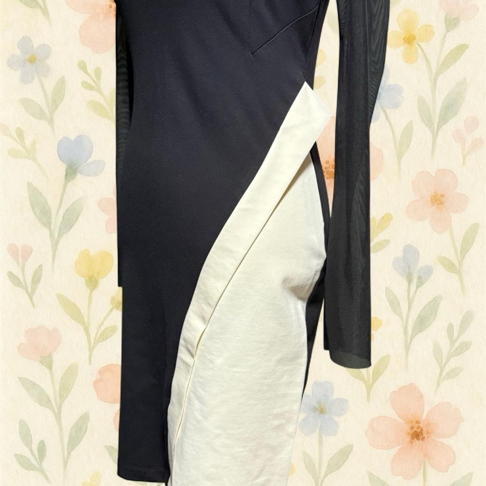 Eva Franco Simone Dress Black Cream Colorblock Mesh Sleeve Bodycon 6 - Picture 5 of 6